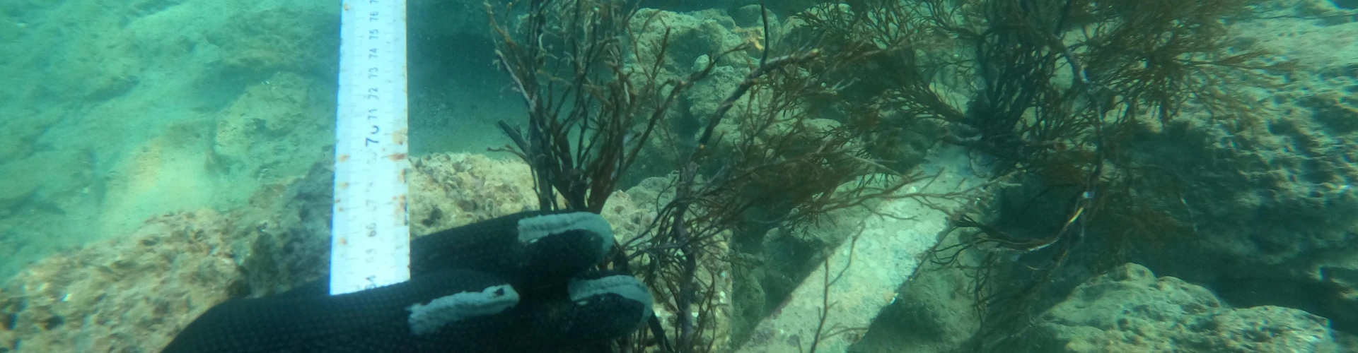 Marine Environmental Protection Services